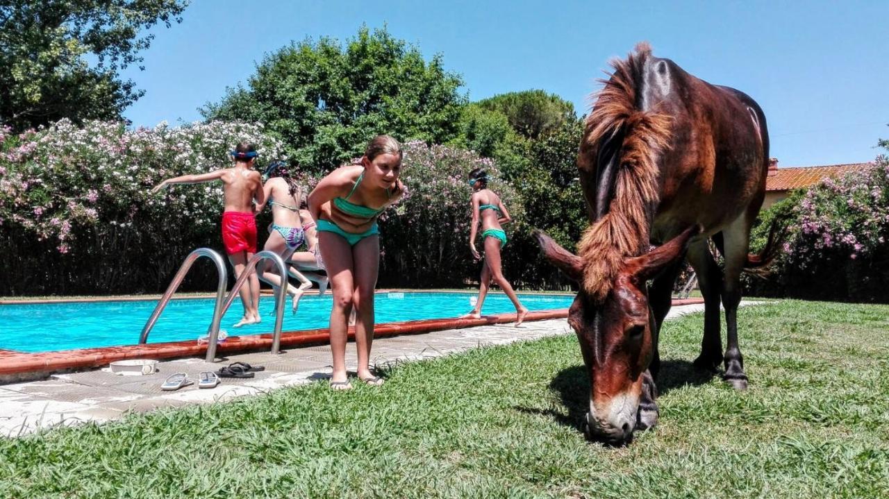 Agriturismo Il Bottaccino Monsummano Terme Εξωτερικό φωτογραφία